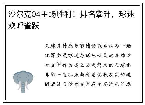 沙尔克04主场胜利！排名攀升，球迷欢呼雀跃