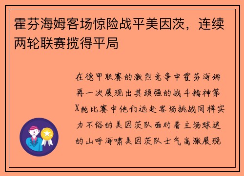 霍芬海姆客场惊险战平美因茨，连续两轮联赛揽得平局